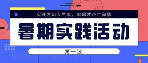 实事求是 经济学院暑期社会实践风采展（二）——社会经济咨询服务