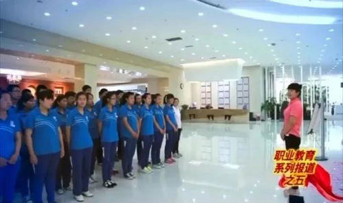 把握政策机遇，以社会经济咨询服务赋能职业教育高质量发展